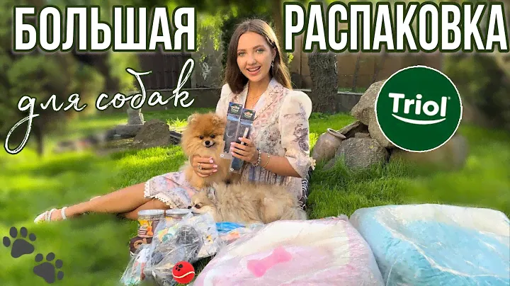 Зооновинки для собак TRIOL 💚 игрушки, лежанки, вкусняшки, амуниция🐾 РОЗЫГРЫШ