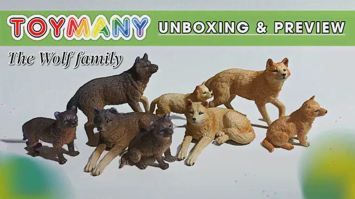 TOYMANY Wolves Unboxed: A Closer Look! 😍