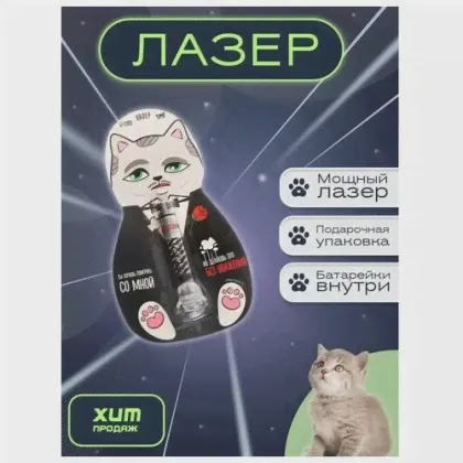 Funny toys Лазер «Ты хочешь поиграть со мной», цвета микс-0
