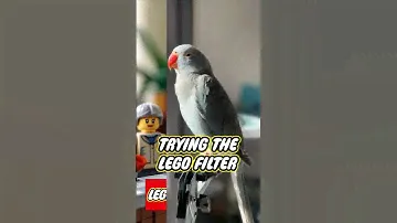 Lego bird filter #lego #legos #cute #kidstv #cool #toys #legocity #ai #aifilter #filter #capcut #fyp