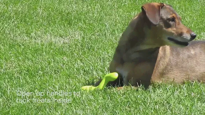West Paw TIZZY DOG TOY игрушка-кормушка с 2-я ножками для собак