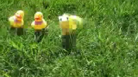 The ugly duckling - stop motion