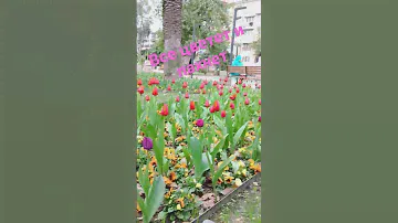 лето пришло