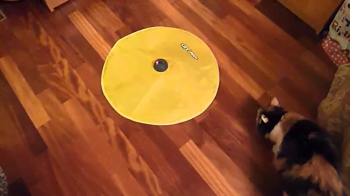 Cat's meow electronic cat toy - игрушка для кошки. Part 1