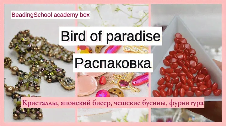 Распсковка коробочки 🐦✨Bird of paradise. BeadingSchool Academy box 3.
