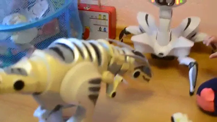 Девочка играет с роботами WowWee (Roboquad и Roboraptor)