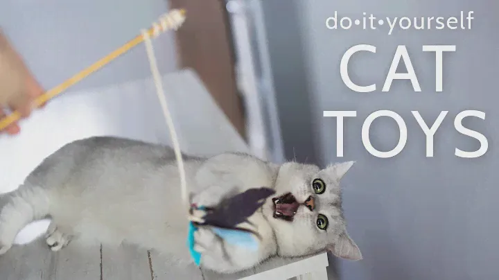 How to make Cheap DIY Cat Toys