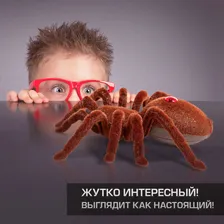 Паук радиоуправляемый WOOW TOYS 0509340