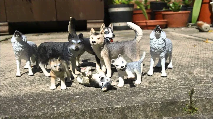 Schleich Wolf and Husky toy collection
